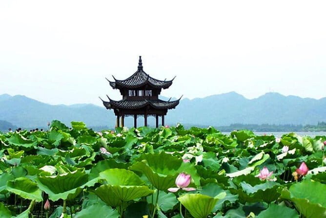 From Shanghai: Hangzhou Private Day Trip by Bullet Train - The Sum Up: Who Will Love This Tour?