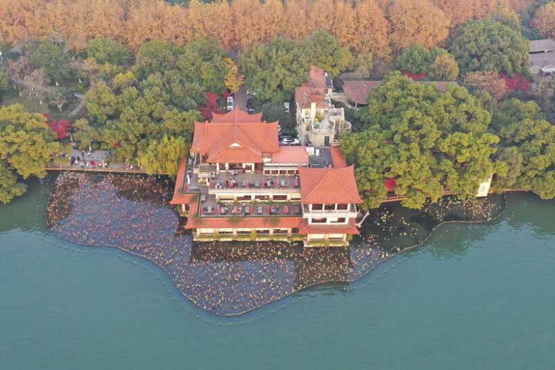 From Shanghai: Hangzhou Private Day Trip by Bullet Train - Longjing Tea Fields