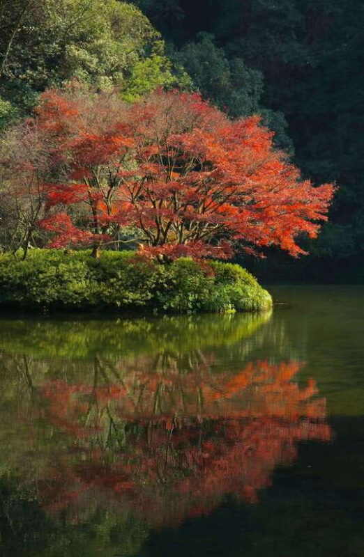 From Shanghai:Hangzhou Temple Zen and Longjing Tea ceremony - From Shanghai: Hangzhou Temple Zen and Longjing Tea Ceremony — A Practical Guide