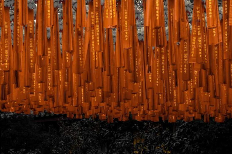 From Shanghai:Hangzhou Temple Zen and Longjing Tea ceremony - Key Points