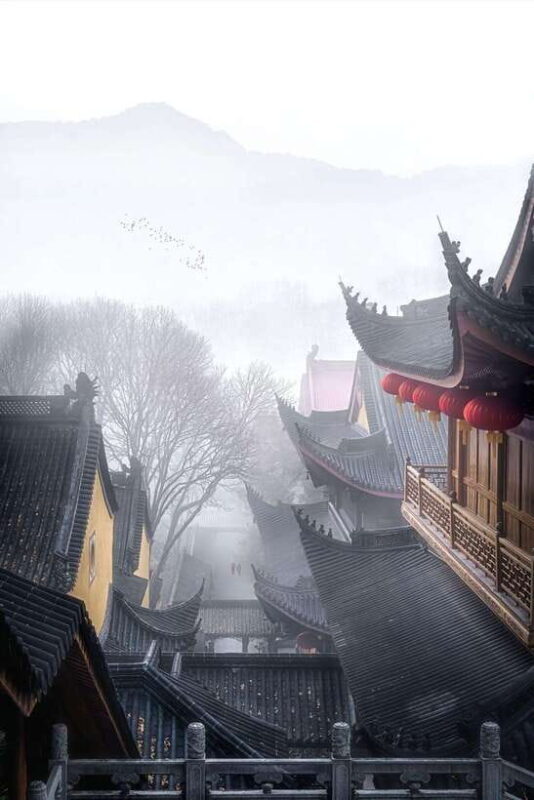 From Shanghai:Hangzhou Temple Zen and Longjing Tea ceremony - Who Will Love This Tour?