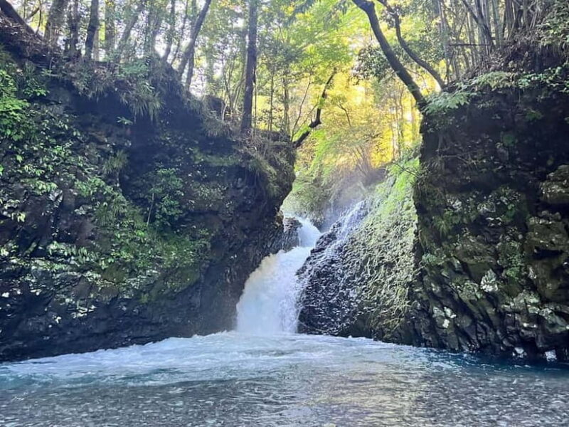 From Shinfuji: Fuji Nature Tour with Guide and Vehicle - Final Thoughts