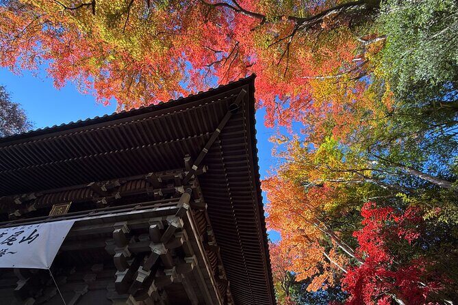 From Shinjuku:Mt.Takao Hike,Temple & Onsen with Samurai Guide Sho - A Detailed Look at the Tour Experience