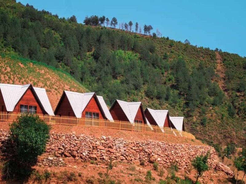 From Shkoder: Komani Lake Day Tour with Traditional Lunch - Why This Tour Offers Genuine Value