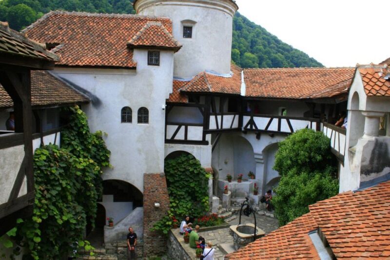 From Sibiu: Day Tour to Brasov and Dracula's Castle - A Detailed Look at the Tour Experience