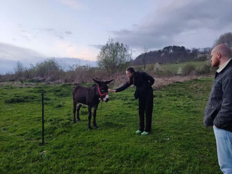 From Sibiu: Villages, Farm Life & Horse Carriage Ride - A detailed look at the day