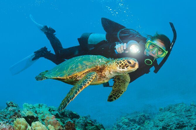 From Side, Alanya: Scuba Diving With 2 Time Dive & Lunch - A Thick Description of the Experience