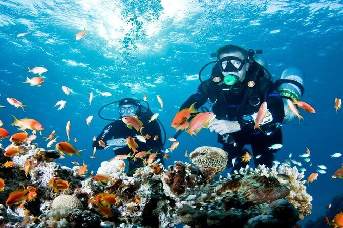From Side, Alanya: Scuba Diving With 2 Time Dive & Lunch - Practical Details and Value