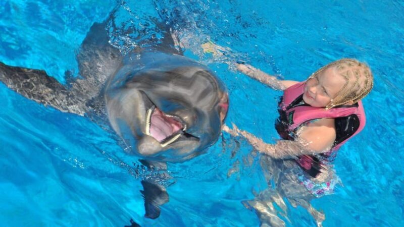 From Side Dolphin and Seal Show Ticket with Hotel Transfers - Experience the Delight of a Dolphin and Seal Show in Antalya