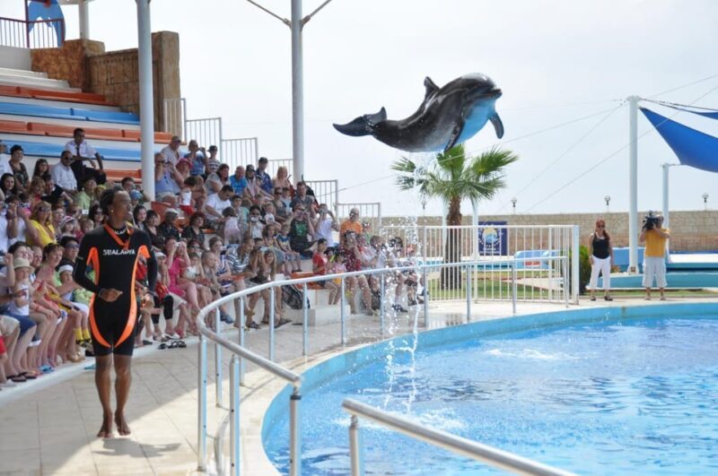 From Side Dolphin and Seal Show Ticket with Hotel Transfers - Final Thoughts: Why This Tour Offers Value and Delight