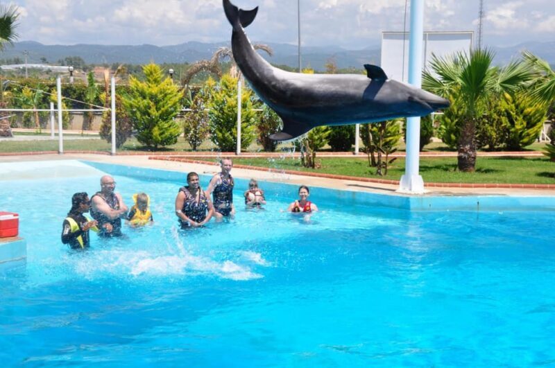 From Side Dolphin and Seal Show Ticket with Hotel Transfers - FAQ