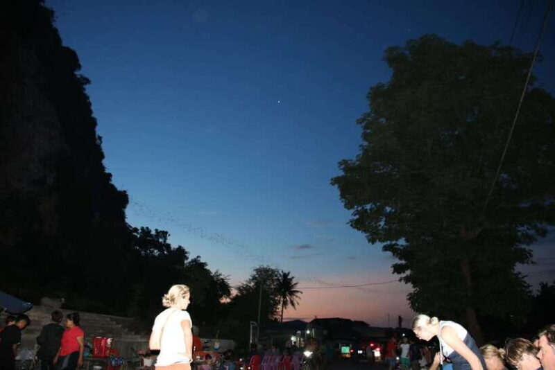 From Siem Reap: Battambang Full-Day Tour with Bamboo Train - What Makes This Tour Stand Out?