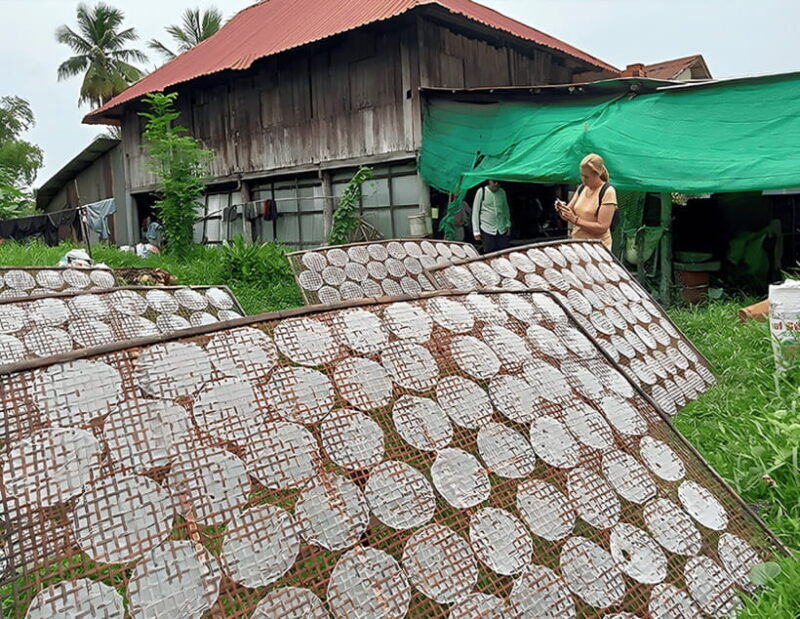 From Siem Reap: Battambang Full-Day Tour with Bamboo Train - The Sum Up