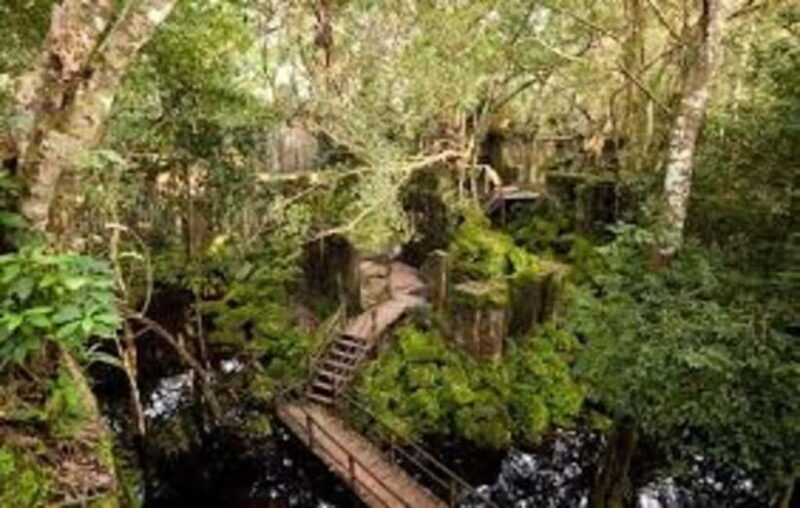 From Siem Reap: Beng Mealea and Kamphong Phluk Day Tour - A Closer Look at the Itinerary and Experience