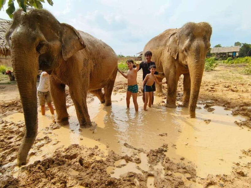 From Siem Reap: Elephant Sanctuary Experience with Transfers - The Mud Bath and River Play