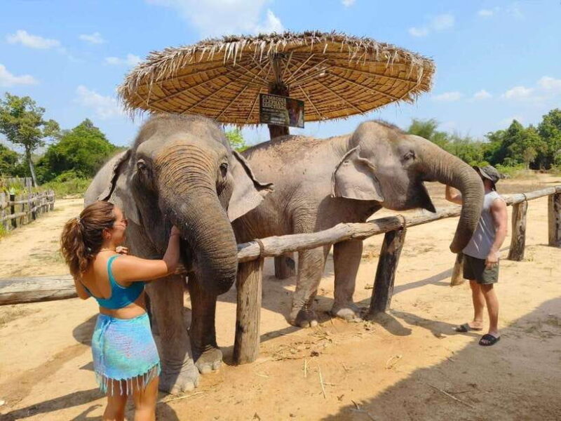 From Siem Reap: Elephant Sanctuary Experience with Transfers - FAQ