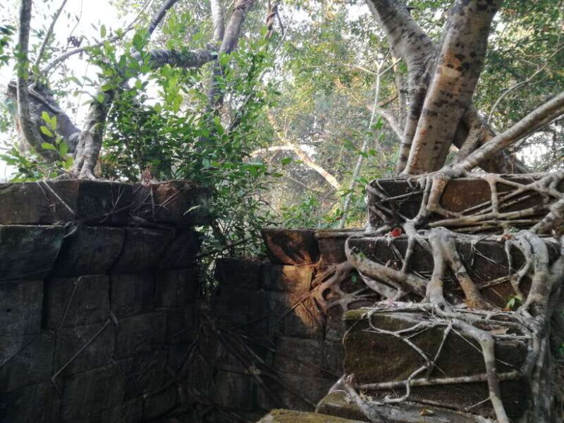 From Siem Reap: Half-Day Tour to Beng Mealea Temple - In-Depth Review of the Beng Mealea Half-Day Tour