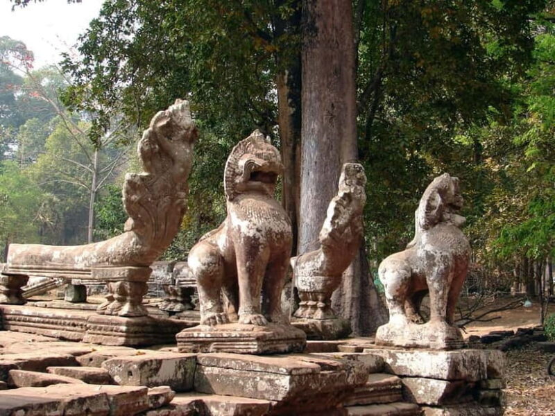 From Siem Reap: Preah Khan, Neak Pean & Pre Rup Private Tour - Key Points