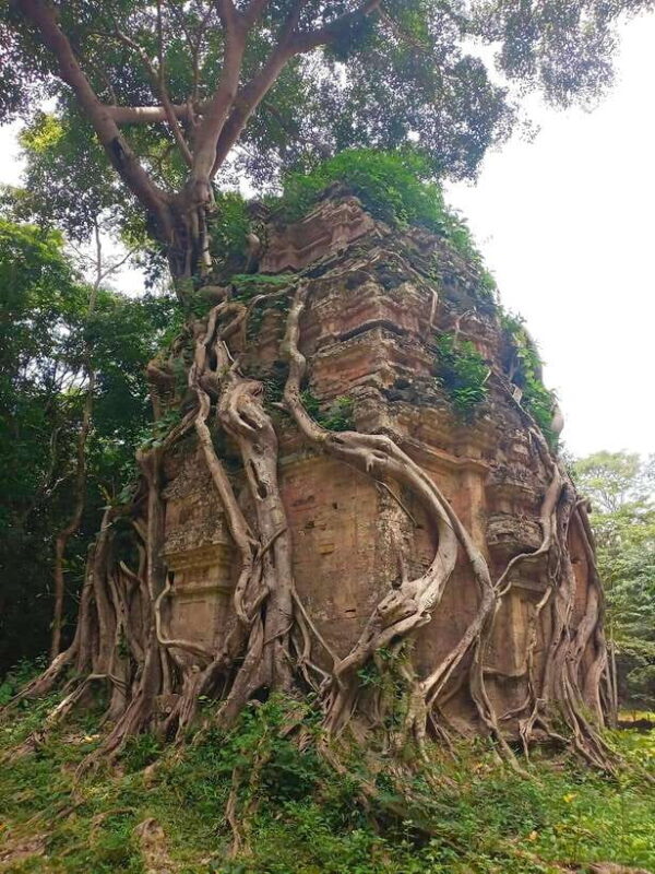 From Siem Reap: Sambor Prei Kuk and Kompong Kdei Day Trip - Starting Point & Timing