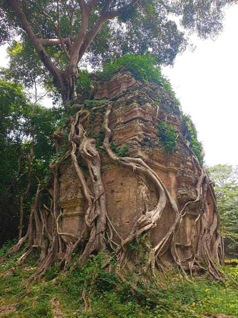 From Siem Reap: Sambor Prei Kuk and Kompong Kdei Day Trip - Who is This Tour Best For?