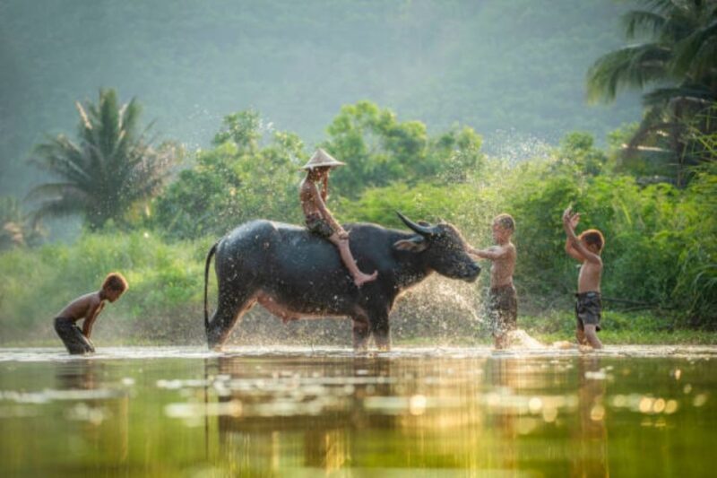 From Siem Reap: Tonle Sap Floating Villages Tour - Who Will Love This Tour?