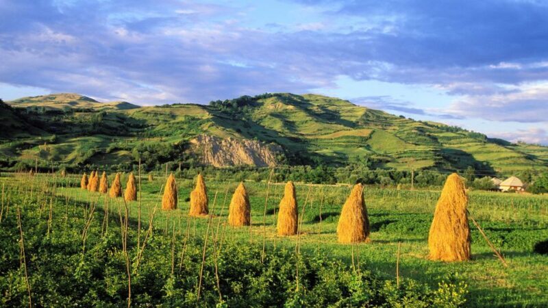 From Sighetu Marmatiei: Maramures and Barsana Monastery Tour - Final Thoughts: Who Will Enjoy This Tour?