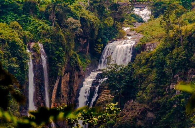 From Sigiriya: 6-Day Sri Lanka Tour with Yala Safari - A detailed look at the Sri Lanka 6-Day Tour from Sigiriya