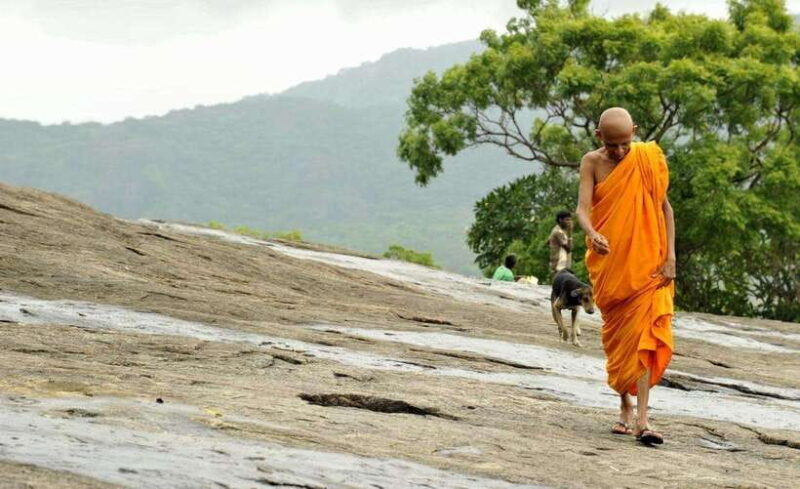 From Sigiriya: 6-Day Sri Lanka Tour with Yala Safari - Frequently Asked Questions