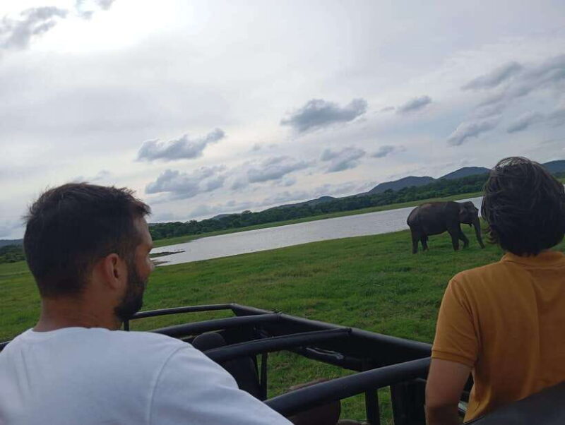 From Sigiriya: Minneriya National Park Half-Day Jeep Safari - Final Thoughts: Is This Tour for You?