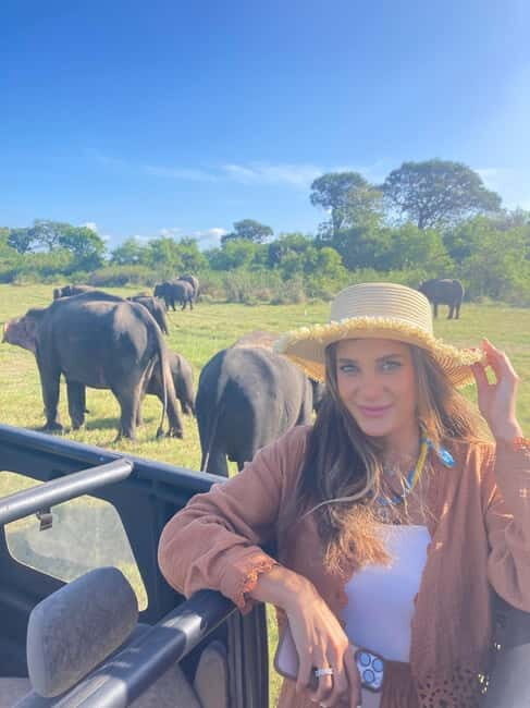 From Sigiriya: Minneriya National Park Private Jeep Safari - The Sum Up