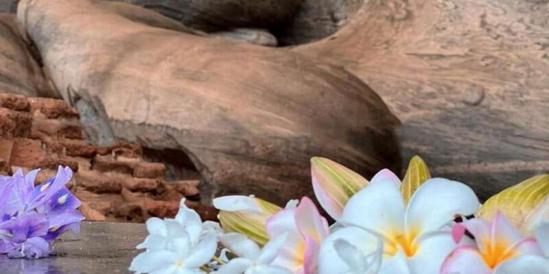 From Sigiriya :Polonnaruwa Ancient City Tour/Day Tour - Who Is This Tour Best For?