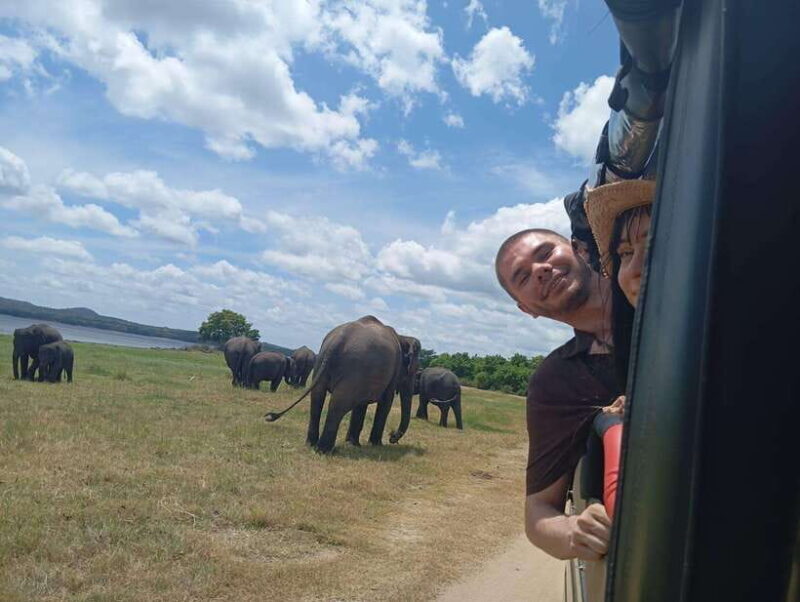 From Sigiriya: Sigiriya Lion Rock and Minneriya Jeep Safari - Who Will Love This Tour?