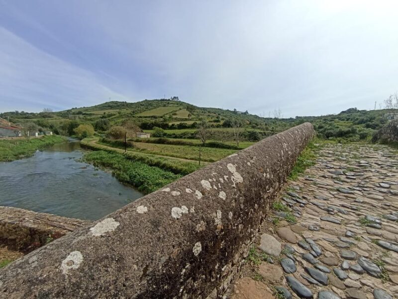 From Sintra, Mafra, or Ericeira: Hike and Wine Tour - Who Will Love This Tour?