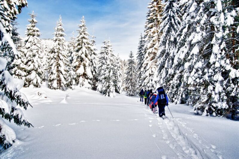 From Sirkka: Levi Summit Guided Nature Snowshoeing Tour - From Sirkka: Levi Summit Guided Nature Snowshoeing Tour