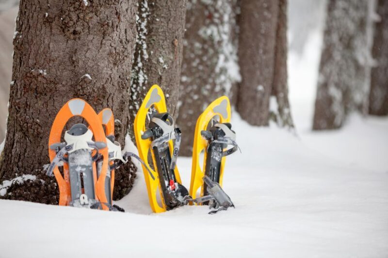 From Sirkka: Levi Summit Guided Nature Snowshoeing Tour - Why This Tour Is a Great Value