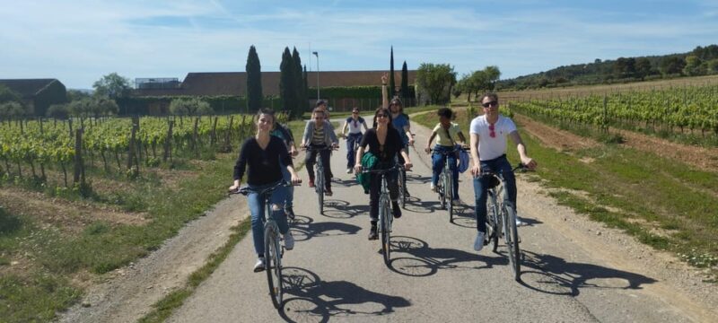 From Sitges: Cycling Tour with Winery visit and Tasting - The Experience in Detail