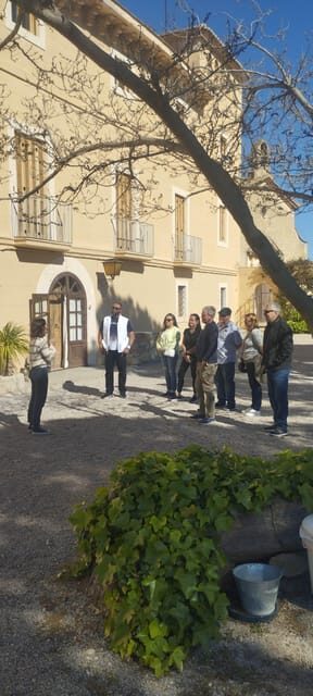 From Sitges: Wine Tasting at 2 Wineries, Snacks and Pickup - Why This Tour Works for You