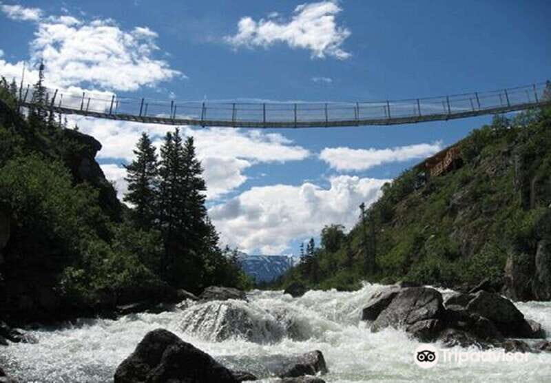 From Skagway: White Pass and Yukon Suspension Bridge Tour - FAQ