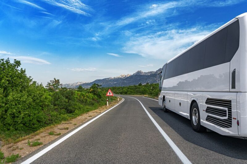 From Skagway: White Pass Summit Guided Bus Tour - A Detailed Look at the Tour Experience