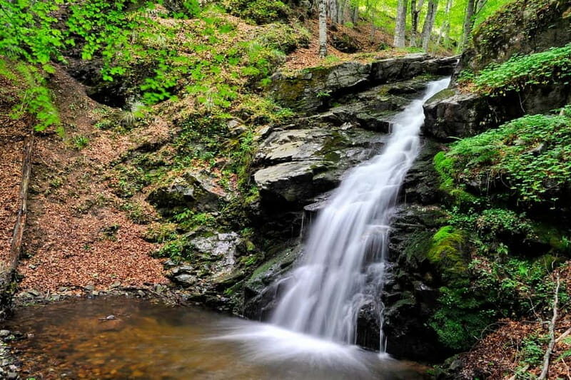 From Skopje: Berovo Full Day Tour and Hike - A Deep Dive into the Berovo Tour