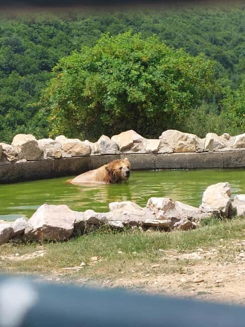 From Skopje: Kosovo in a Day  Prishtina, Monastery & Bears - The Sum Up