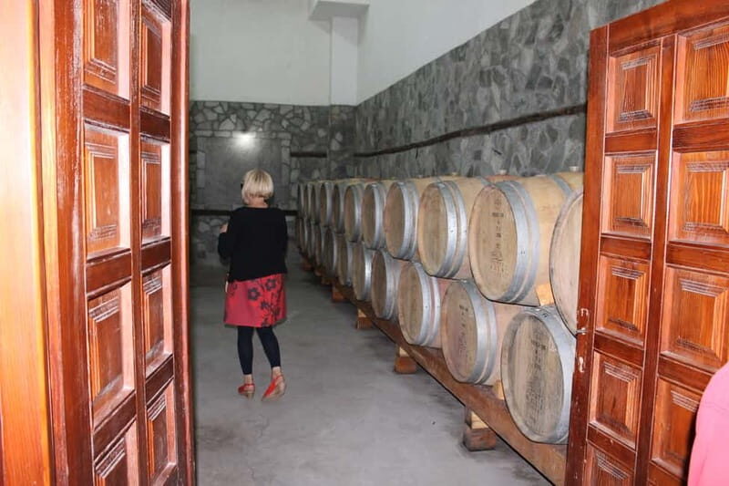 From Skopje: Private Full-Day Tour to Popova Kula Winery - Key Points