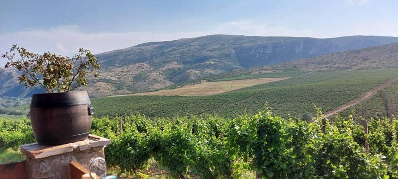 From Skopje: Private Tour of Sopot Winery with Lunch - Key Points