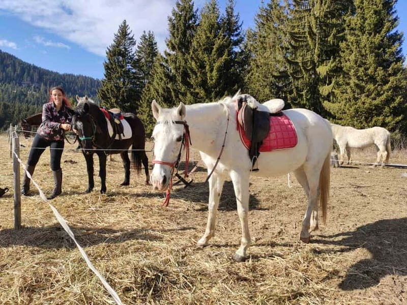 From Smolyan: Waterfalls Canyon Horseback Riding Tour - The Waterfalls Canyon Horseback Riding Tour: An Authentic Bulgarian Experience