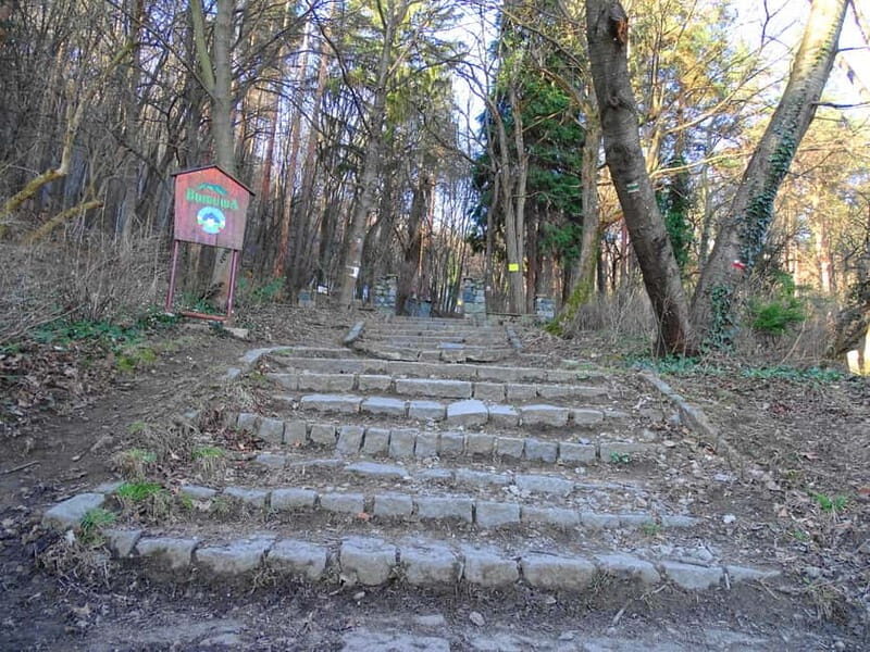 From Sofia: One-Day Tour of Vitosha Mountain - Final Thoughts: Who Will Love This Tour?