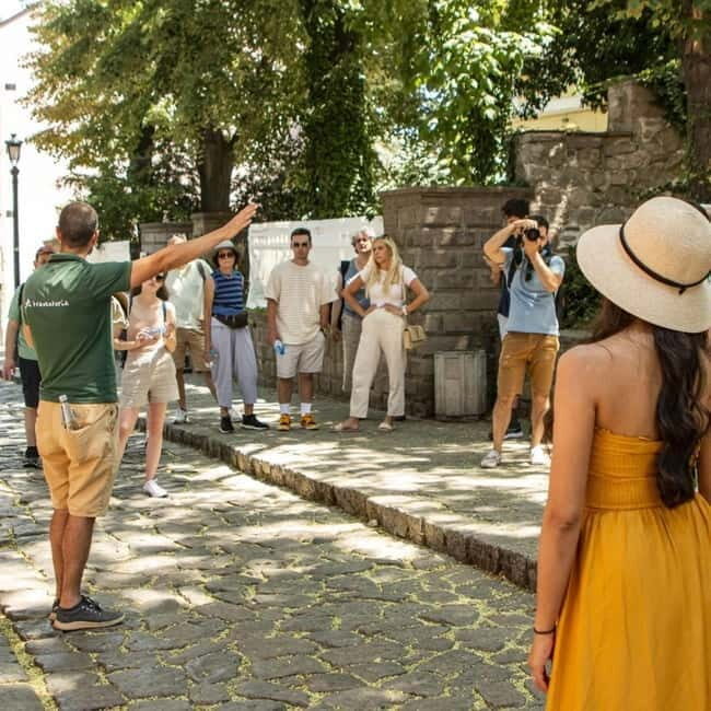 From Sofia: Plovdiv Day Tour - Authentic Insights from Travelers