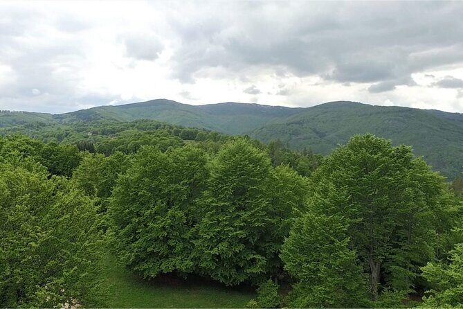 From Sofia: Serbia and Macedonia Trip - Frequently Asked Questions