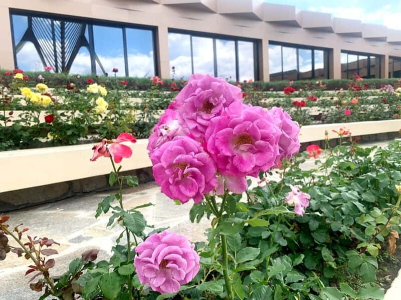 From Sofia: The Rose Valley & Buzludzha Monument 12 hrs Tour - The Sum Up