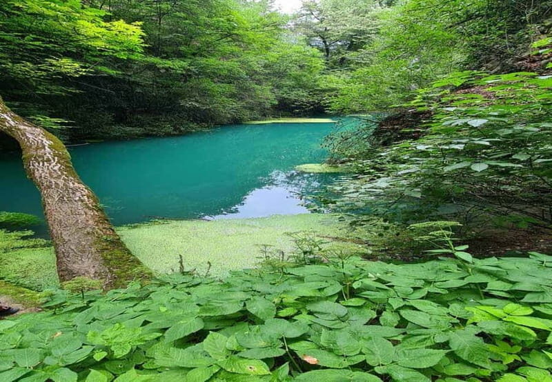 From Sofia: Zlatna Panega River Hike with Springs Visit - The Experience in Detail