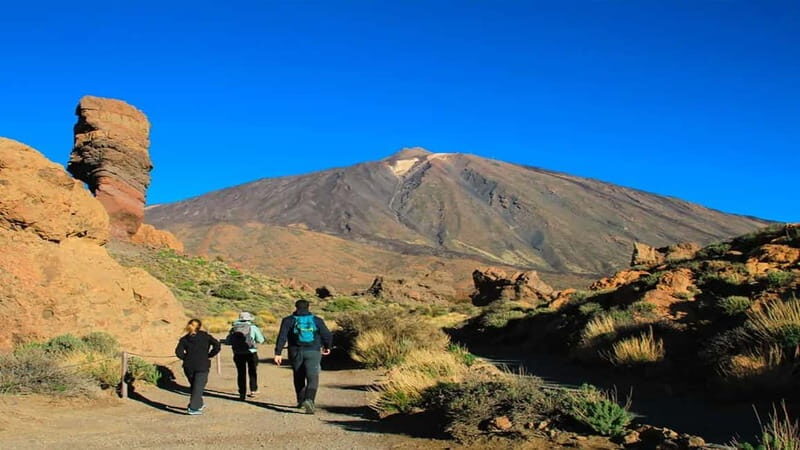 From South Tenerife: Half-Day Tour to Mount Teide - Key Points